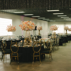 DM_20251103170238_001